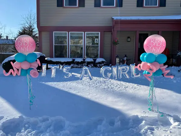 It's a girl or it's a boy yard stick balloon message