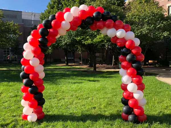 8ftx8ft Classic balloon arch 