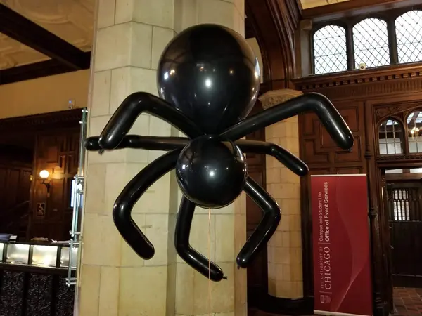 Spider balloon decoration available air filled or helium filled