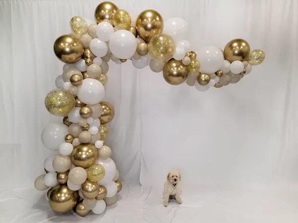 8ftx8ft freestanding balloon wave with glitter