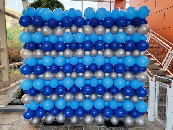 Classic balloon walls are perfect for photo backdrops or dividing a room