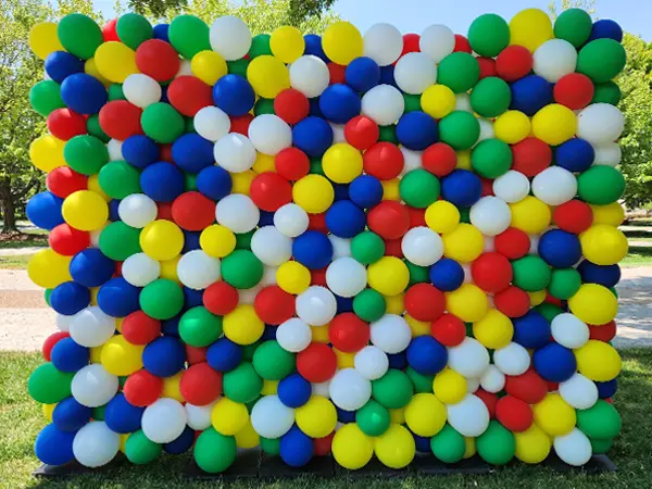 8ftx10ft deluxe classic balloon wall